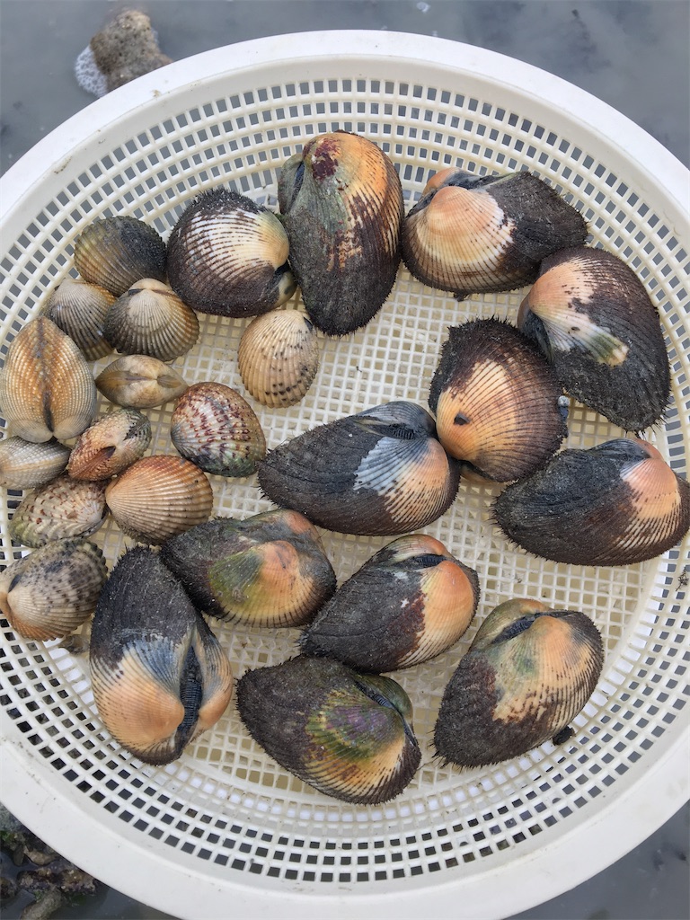 f:id:masahiko0819:20210529185754j:image f:id:masahiko0819:20210529185754j:image