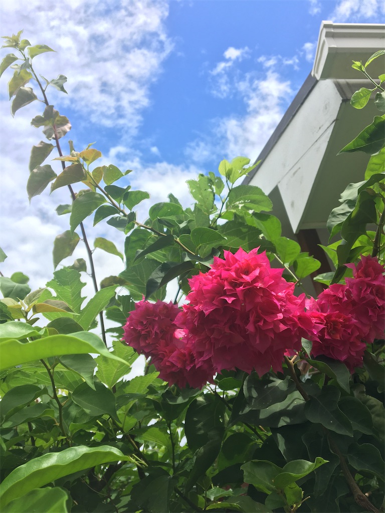 f:id:masahiko0819:20210606145305j:image f:id:masahiko0819:20210606145305j:image