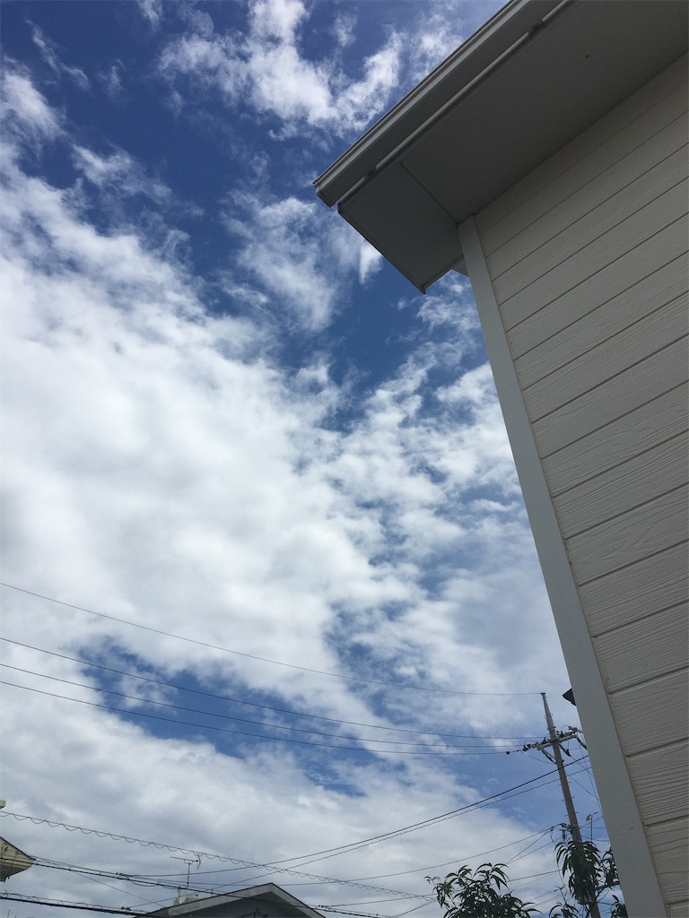 f:id:masahiko0819:20210606145313j:image f:id:masahiko0819:20210606145313j:image