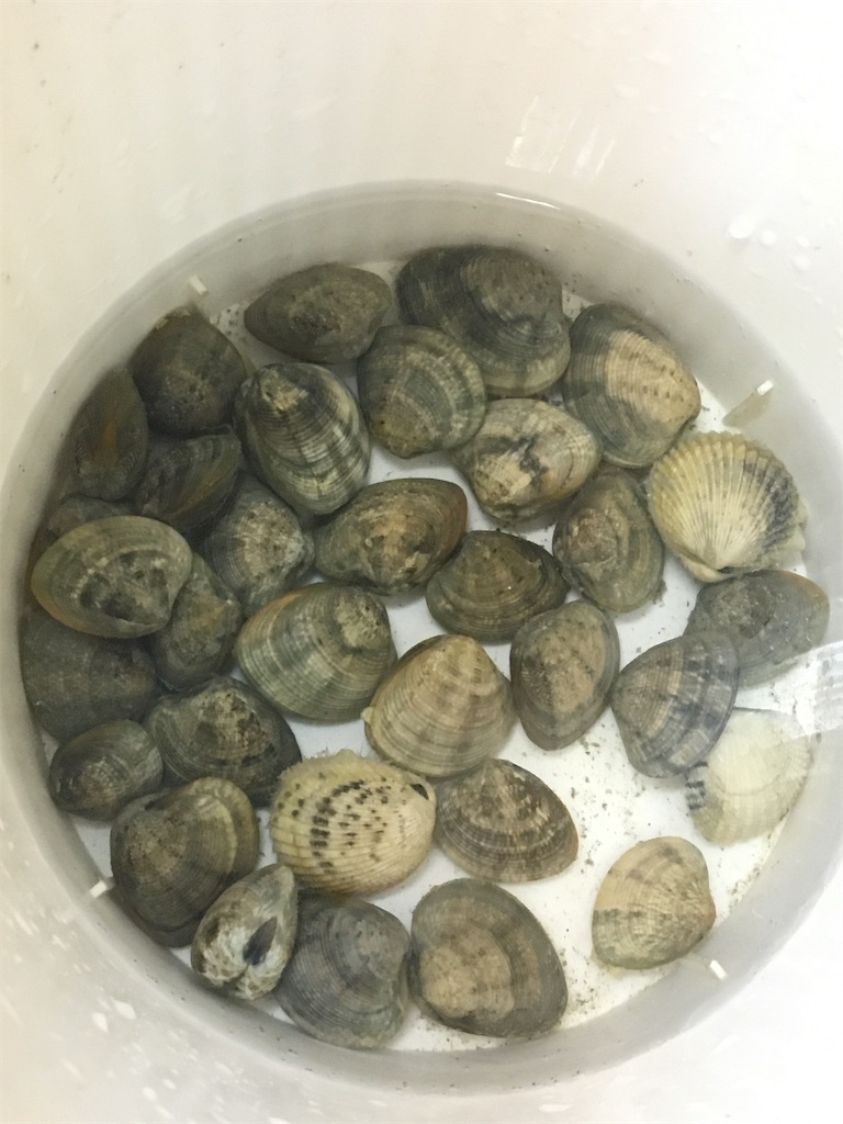 f:id:masahiko0819:20210904143426j:image f:id:masahiko0819:20210904143426j:image