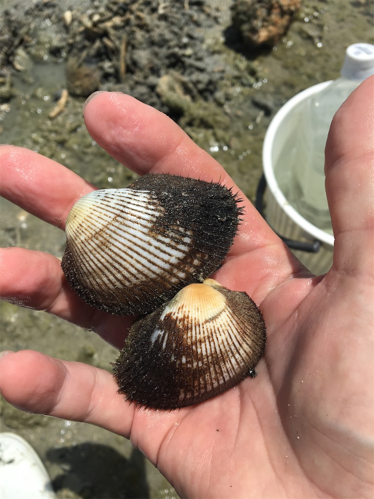 f:id:masahiko0819:20210904143433j:image f:id:masahiko0819:20210904143433j:image