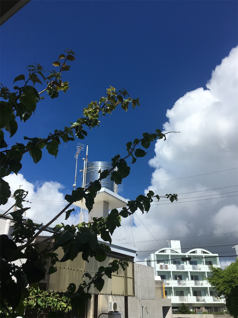 f:id:masahiko0819:20210904143946j:image f:id:masahiko0819:20210904143946j:image