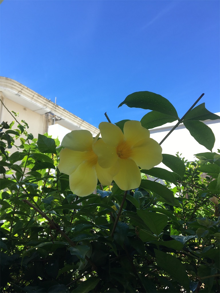 f:id:masahiko0819:20210904143952j:image f:id:masahiko0819:20210904143952j:image