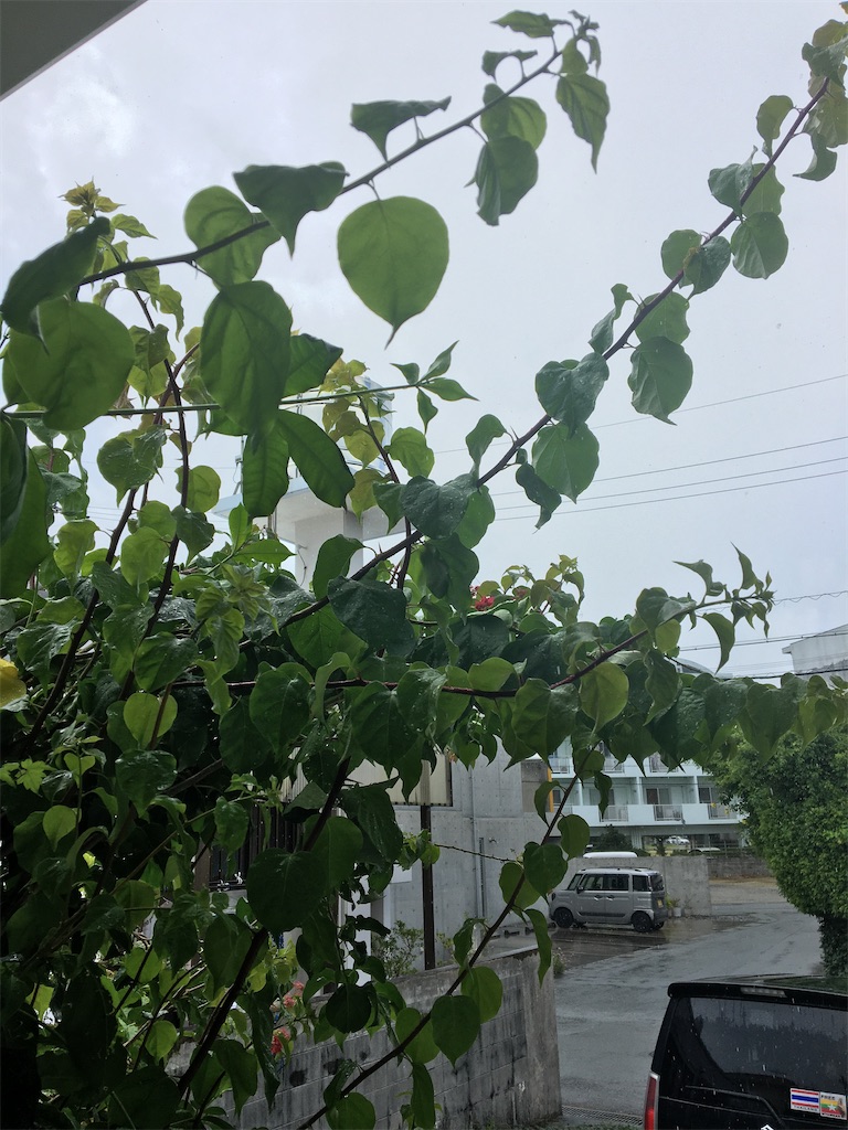 f:id:masahiko0819:20210904145200j:image f:id:masahiko0819:20210904145200j:image