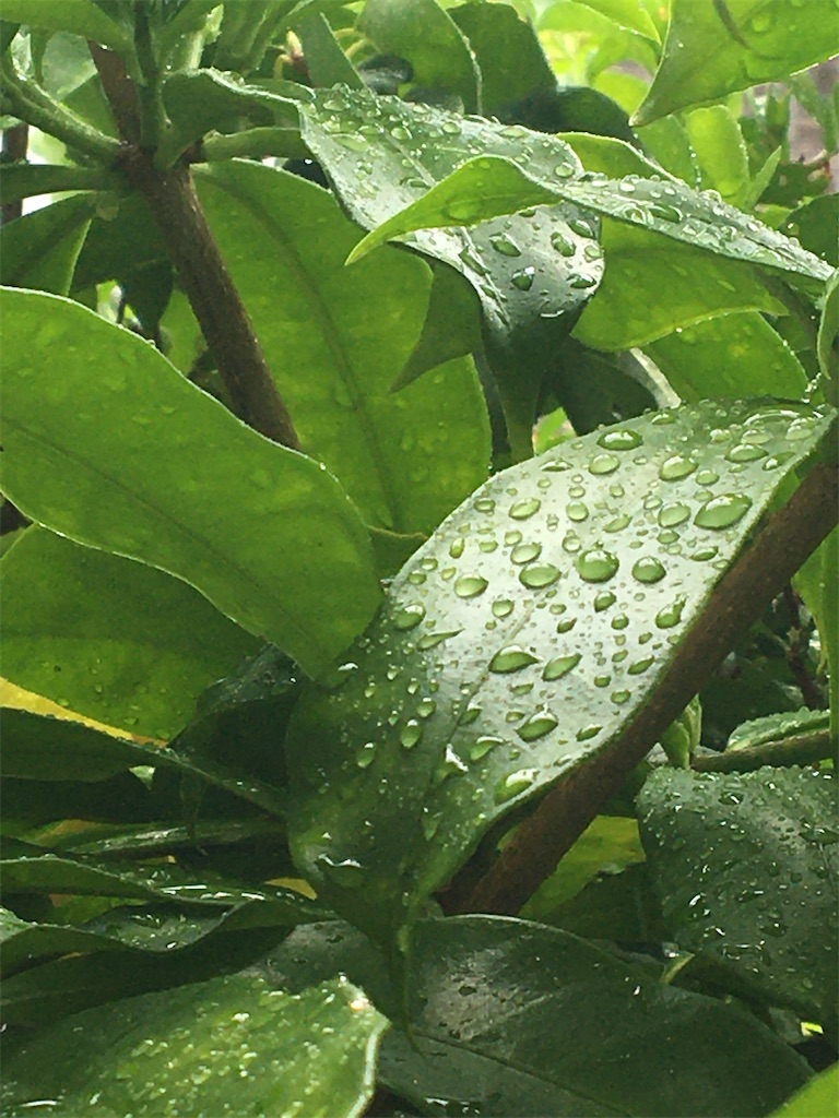 f:id:masahiko0819:20210904145207j:image f:id:masahiko0819:20210904145207j:image