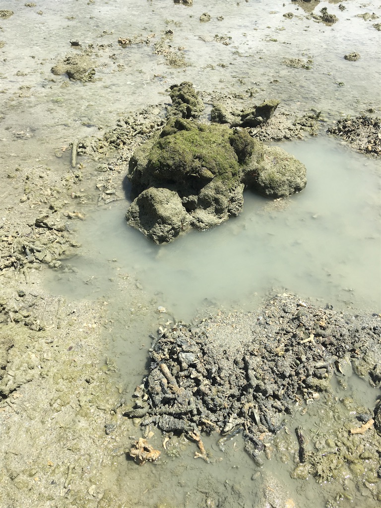 f:id:masahiko0819:20210904151547j:image f:id:masahiko0819:20210904151547j:image