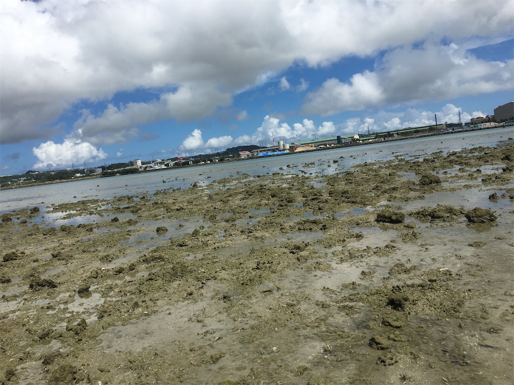 f:id:masahiko0819:20210904151602j:image f:id:masahiko0819:20210904151602j:image