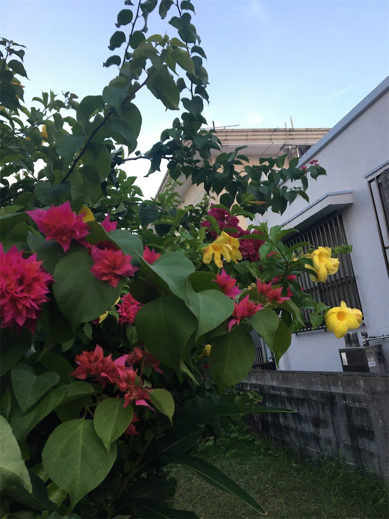f:id:masahiko0819:20210918171243j:image