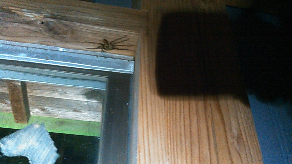 f:id:masahikomifune2:20190329114829j:plain