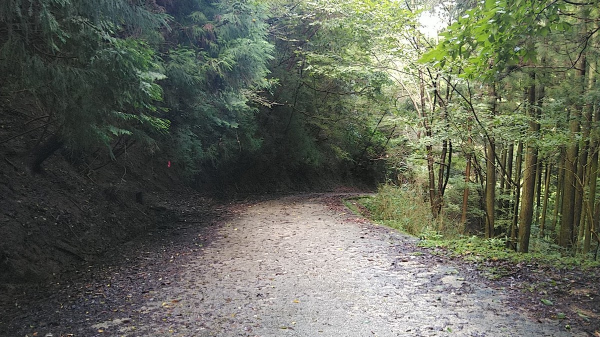 f:id:masahikomifune2:20200913174415j:plain