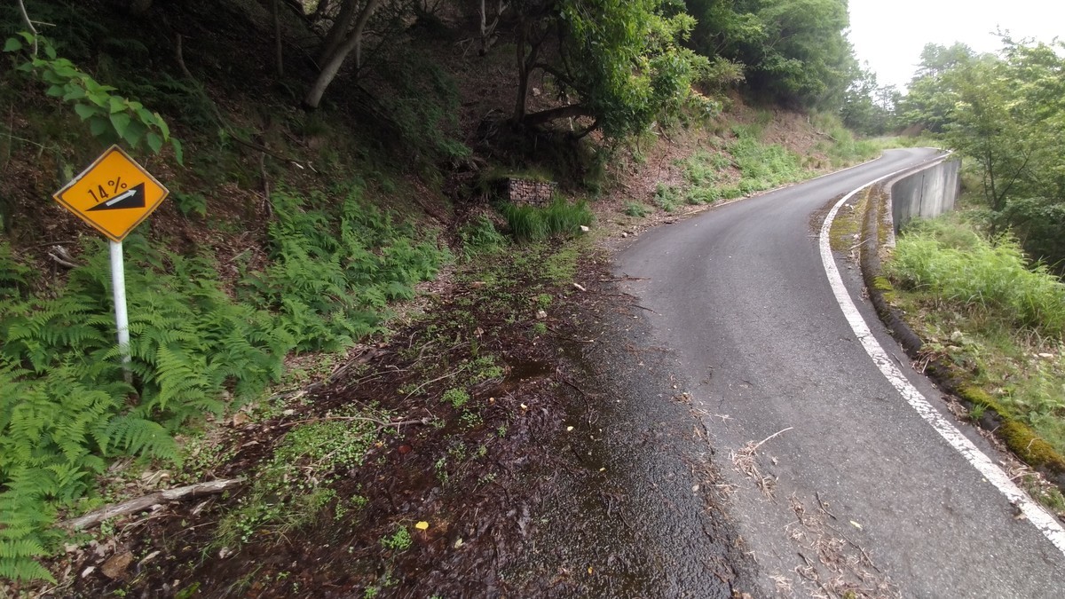 f:id:masahikomifune2:20210628171732j:plain