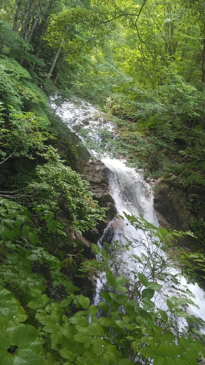 f:id:masahikomifune2:20210903163122j:plain