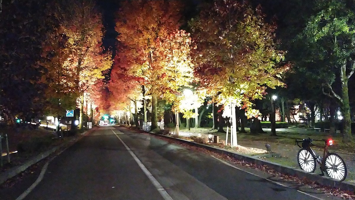 f:id:masahikomifune2:20211201105345j:plain