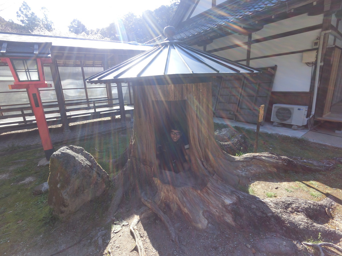 f:id:masahikomifune2:20220406164419j:plain