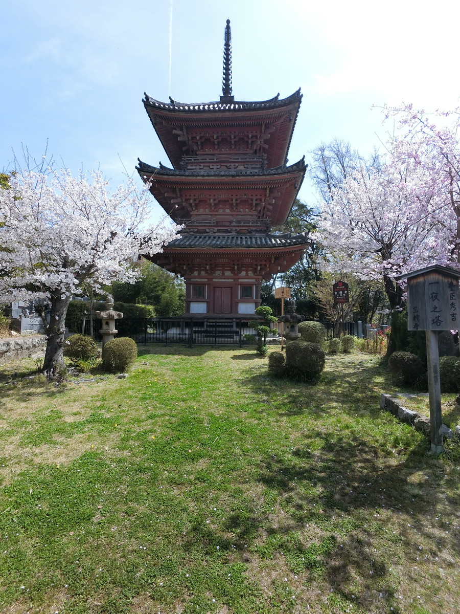 f:id:masahikomifune2:20220406165217j:plain