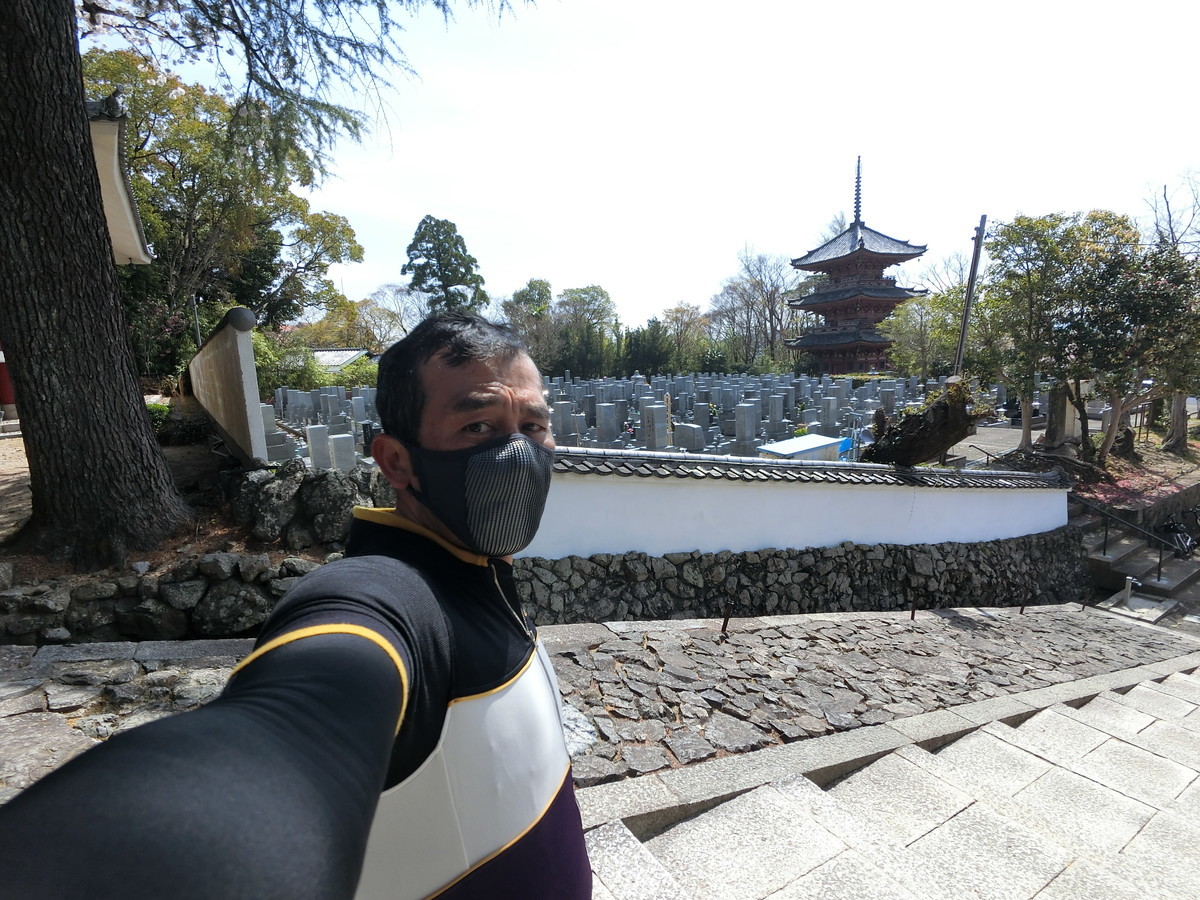 f:id:masahikomifune2:20220406170645j:plain