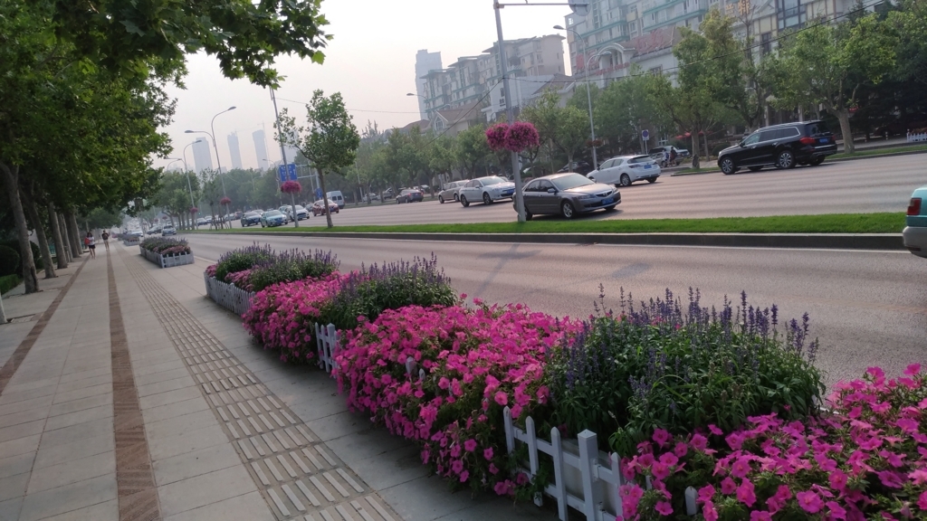 f:id:masahiro75130:20170715110511j:plain