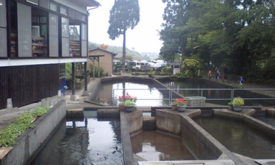 f:id:masahiror:20090815130532j:image f:id:masahiror:20090815130532j:image