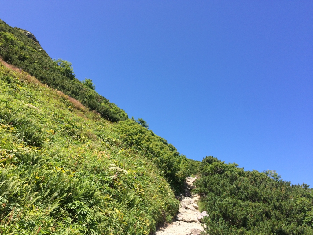 f:id:masahito0989:20160812123259j:plain