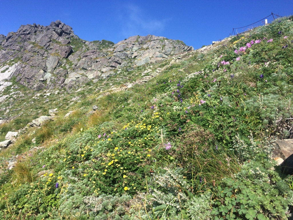 f:id:masahito0989:20160813074426j:plain