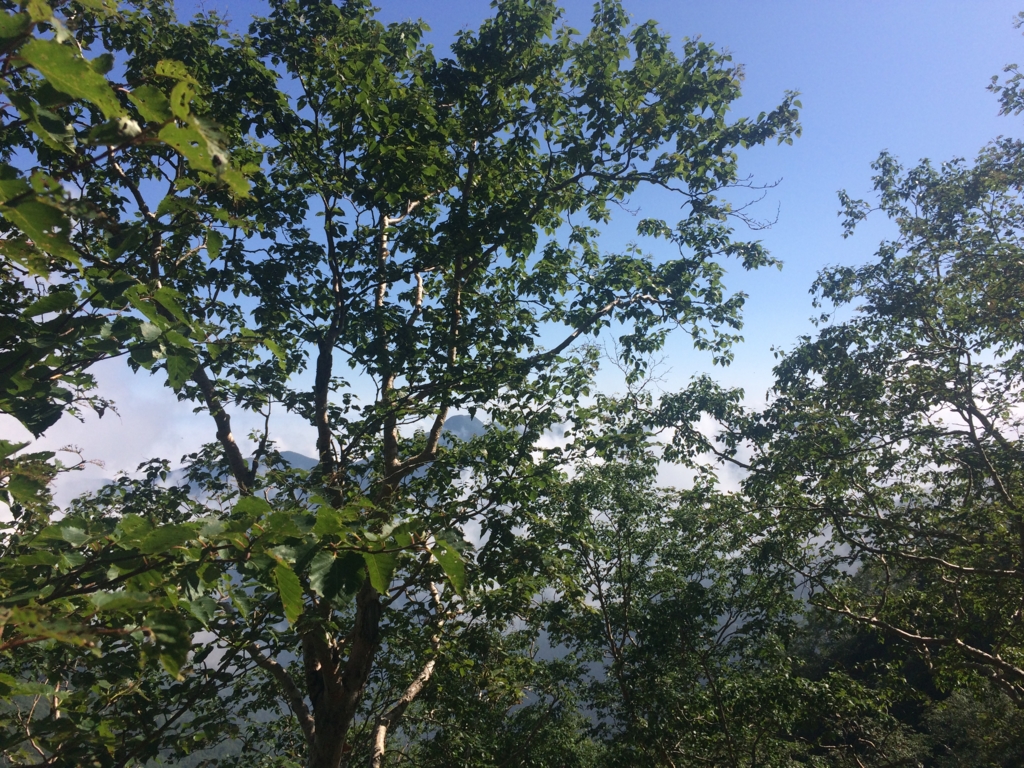 f:id:masahito0989:20160813084225j:plain