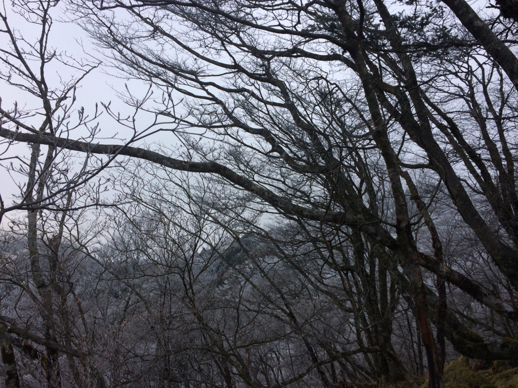 f:id:masahito0989:20161225095539j:plain f:id:masahito0989:20161225095539j:plain