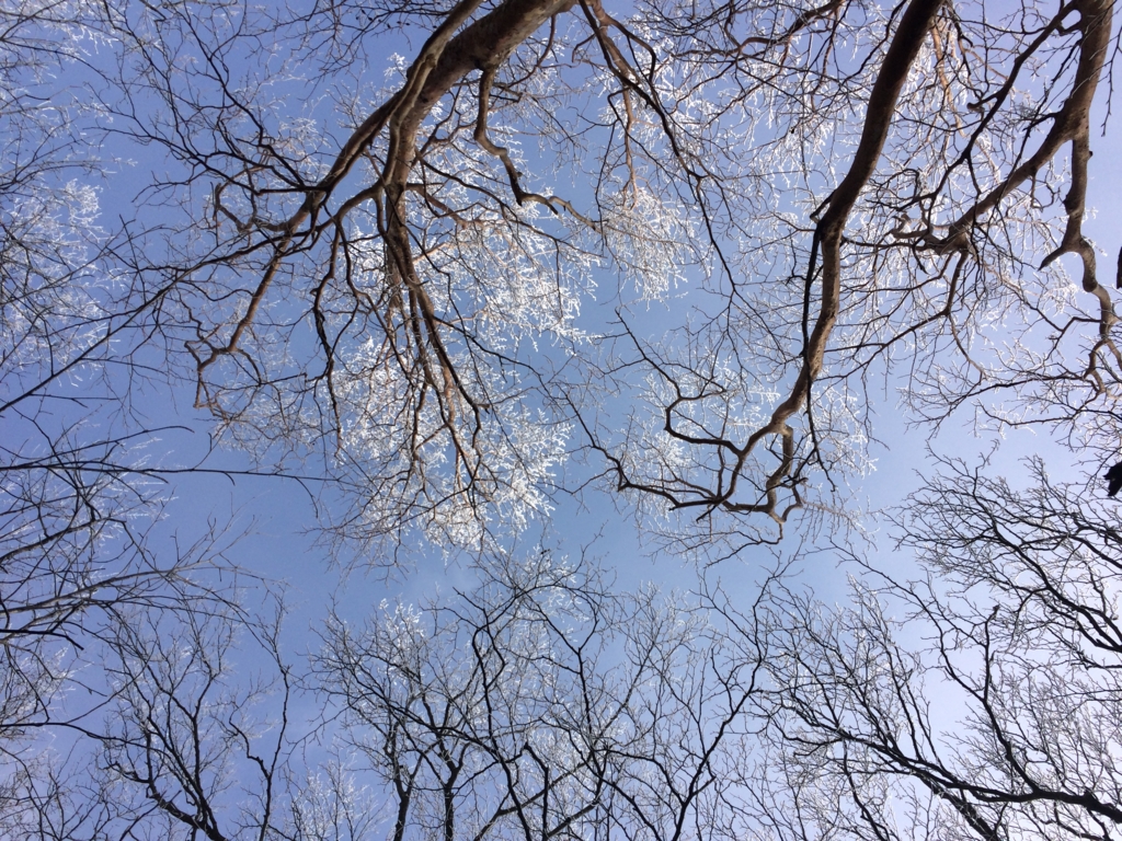 f:id:masahito0989:20161225100106j:plain f:id:masahito0989:20161225100106j:plain