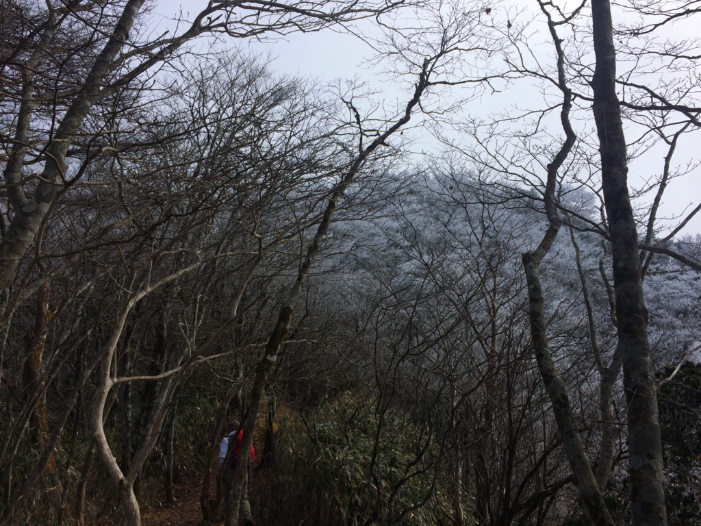 f:id:masahito0989:20161225100309j:plain f:id:masahito0989:20161225100309j:plain