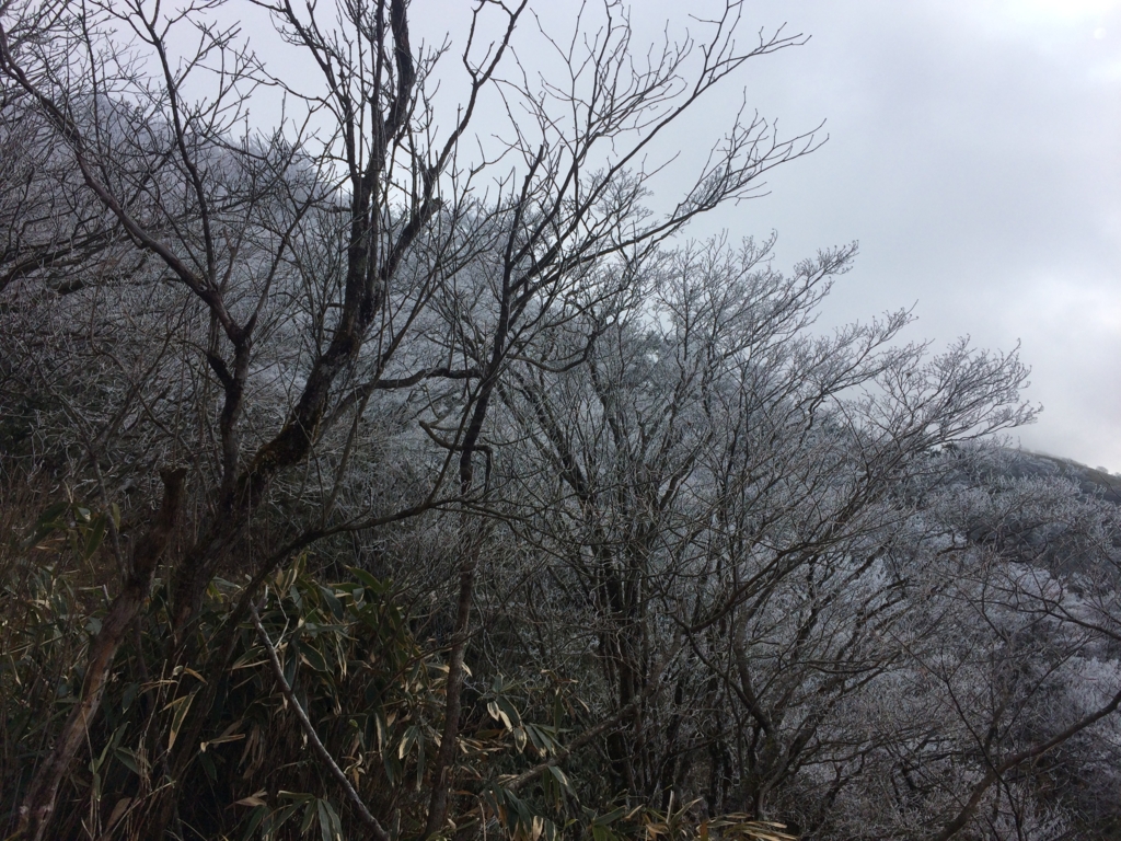 f:id:masahito0989:20161225100357j:plain f:id:masahito0989:20161225100357j:plain