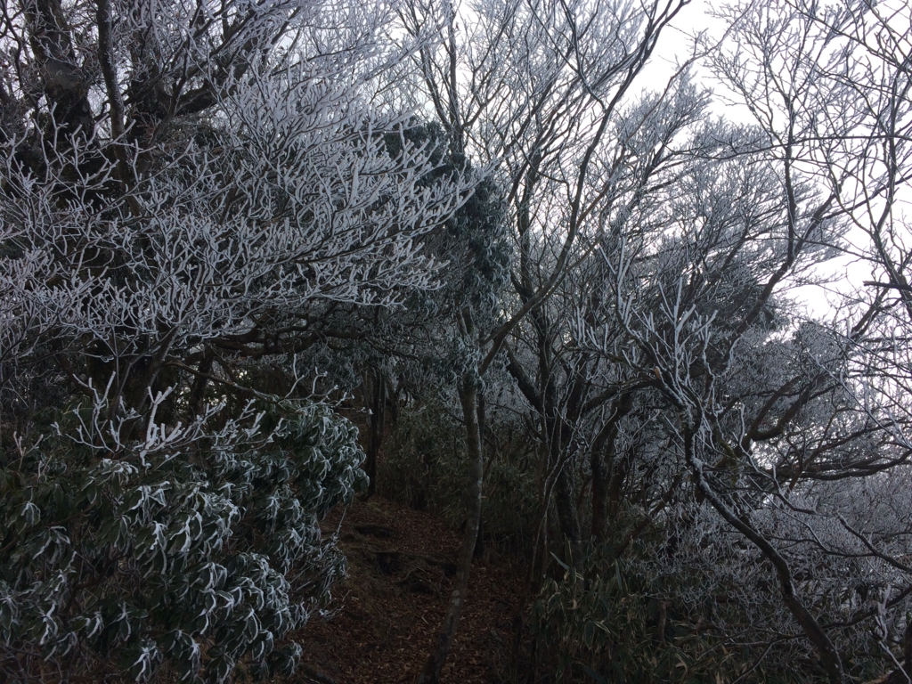 f:id:masahito0989:20161225100635j:plain f:id:masahito0989:20161225100635j:plain