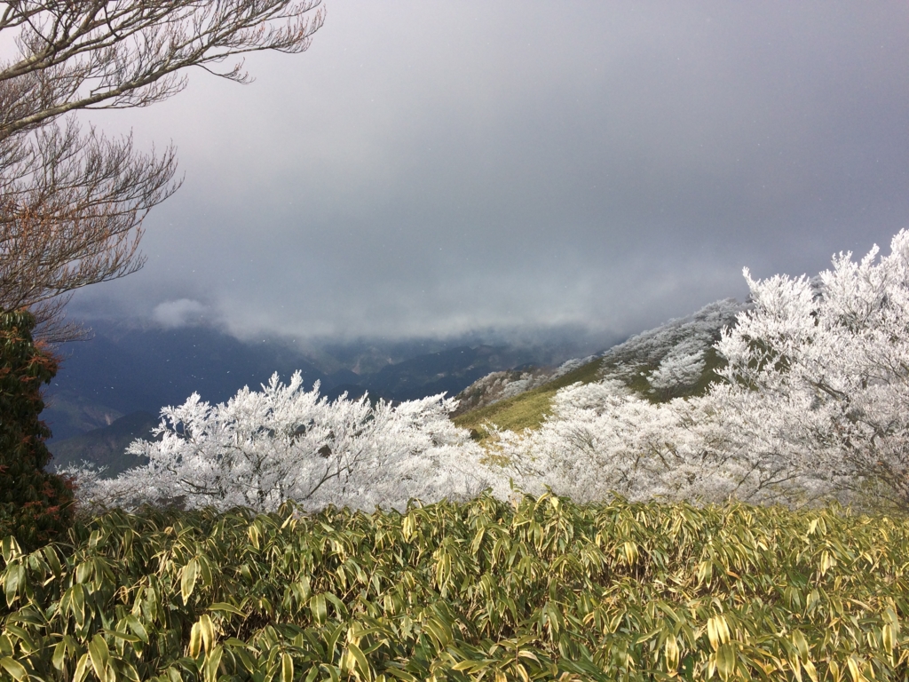 f:id:masahito0989:20161225104438j:plain f:id:masahito0989:20161225104438j:plain