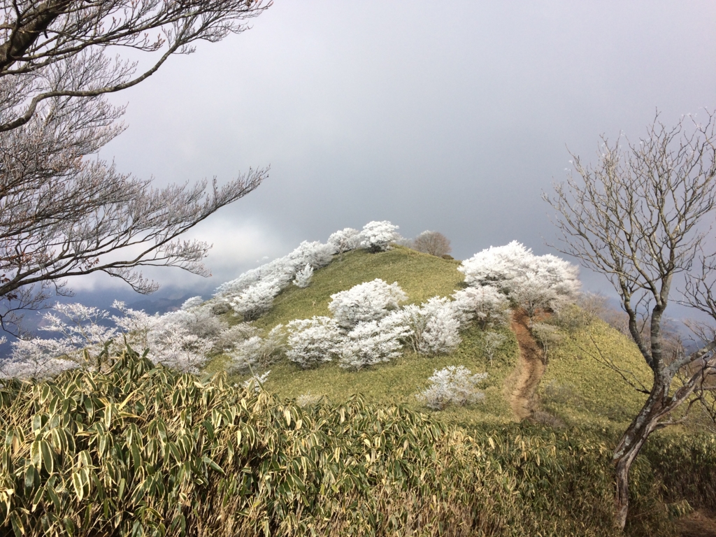 f:id:masahito0989:20161225104533j:plain f:id:masahito0989:20161225104533j:plain