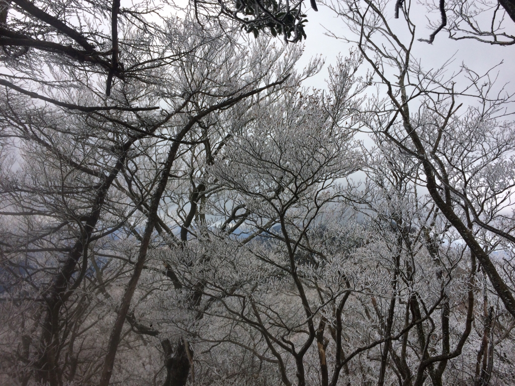 f:id:masahito0989:20161225111231j:plain f:id:masahito0989:20161225111231j:plain