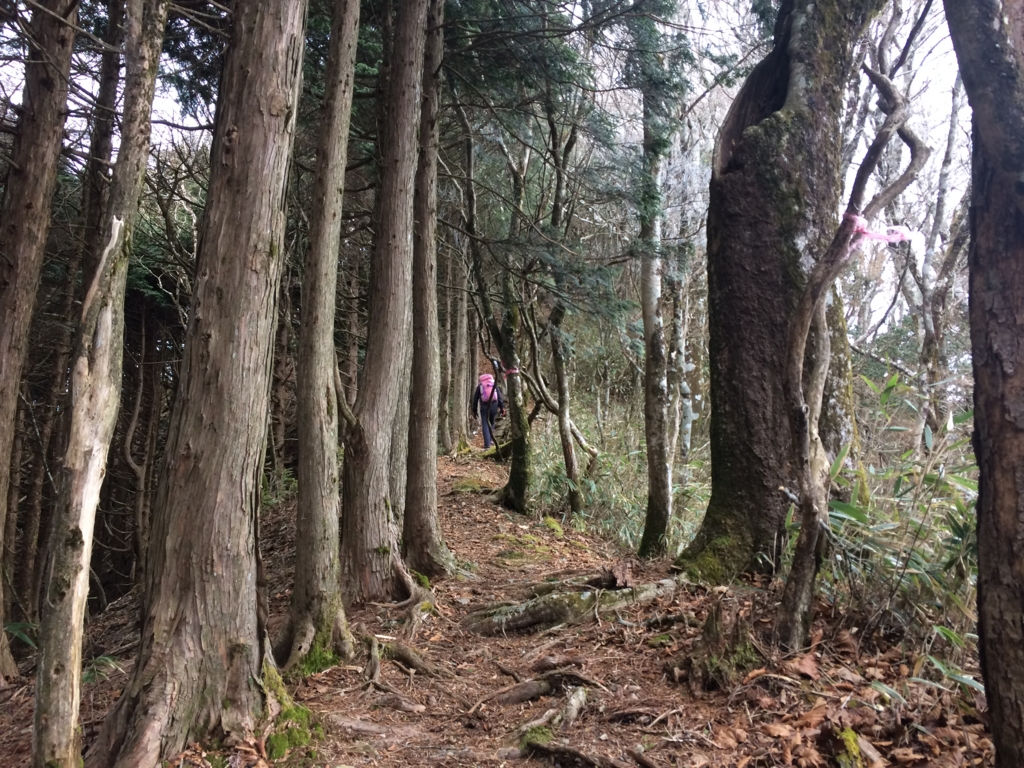 f:id:masahito0989:20161225112731j:plain f:id:masahito0989:20161225112731j:plain