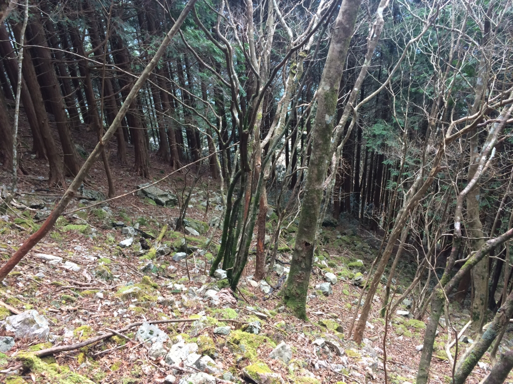 f:id:masahito0989:20161225114547j:plain f:id:masahito0989:20161225114547j:plain