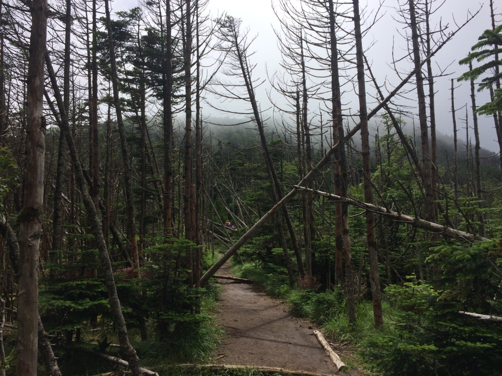 f:id:masahito0989:20170811112211j:plain