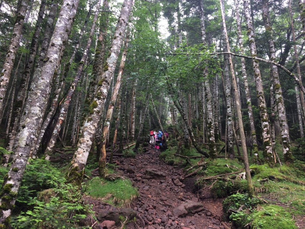 f:id:masahito0989:20170811112740j:plain