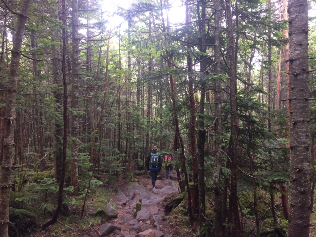 f:id:masahito0989:20170811124603j:plain