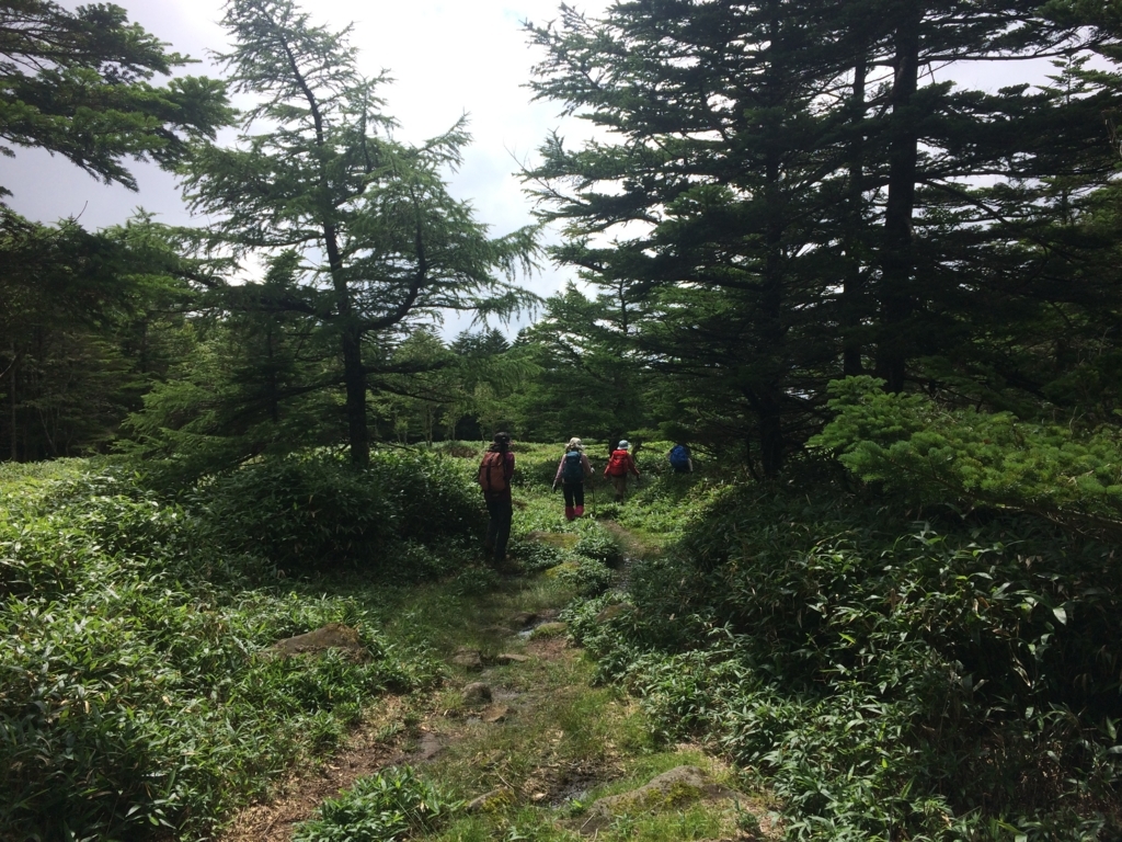 f:id:masahito0989:20170811131454j:plain