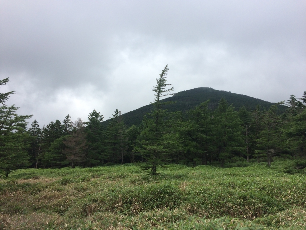 f:id:masahito0989:20170811132102j:plain