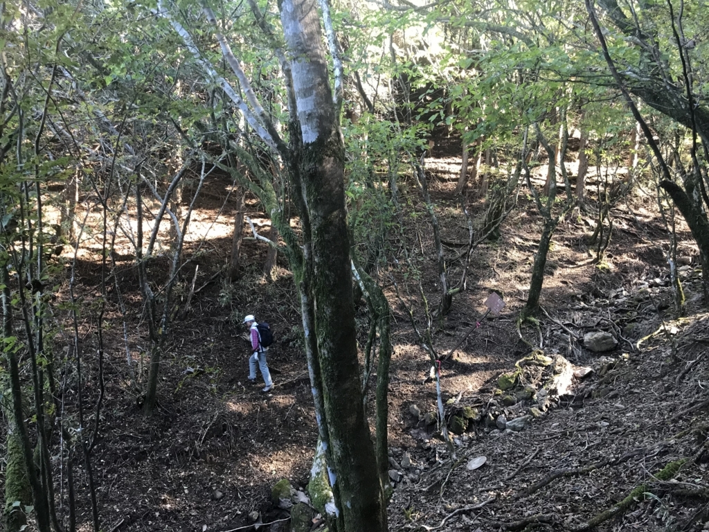 f:id:masahito0989:20171103094256j:plain