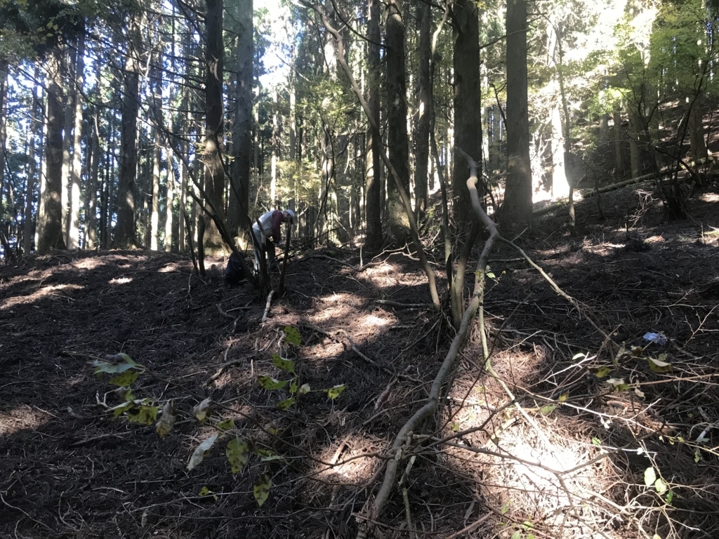 f:id:masahito0989:20171103095508j:plain