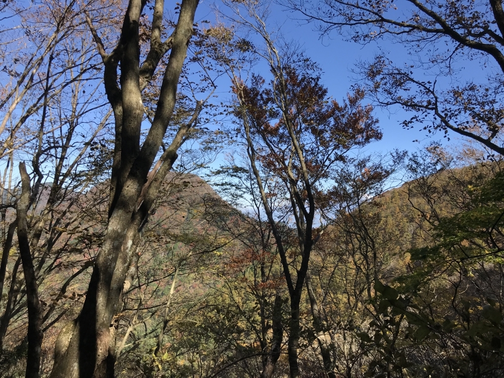 f:id:masahito0989:20171103115235j:plain