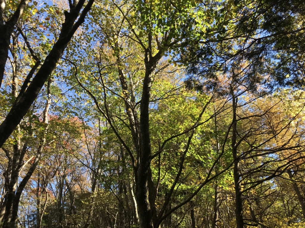 f:id:masahito0989:20171103115623j:plain