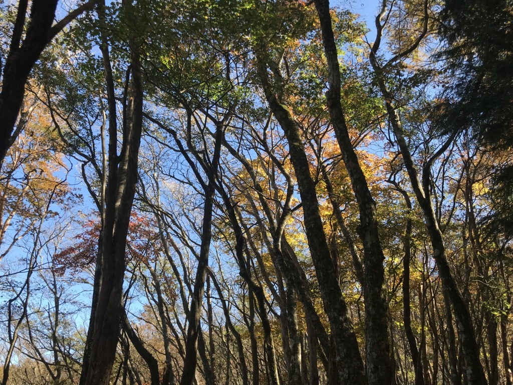 f:id:masahito0989:20171103115859j:plain