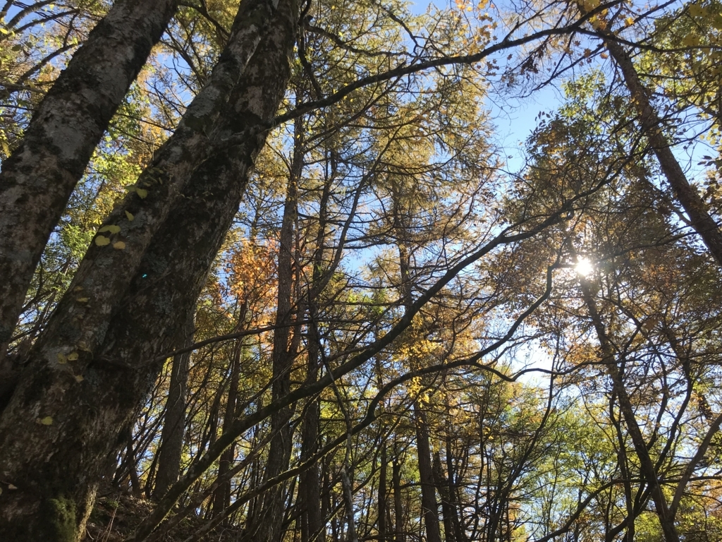 f:id:masahito0989:20171103120118j:plain