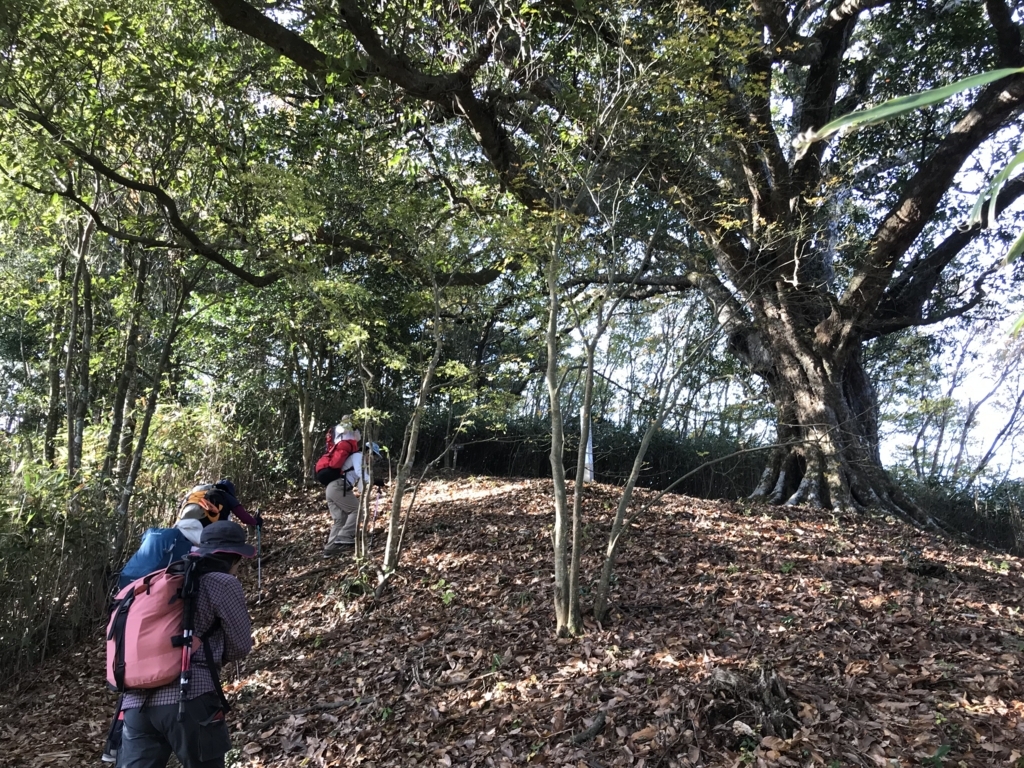 f:id:masahito0989:20171126092229j:plain