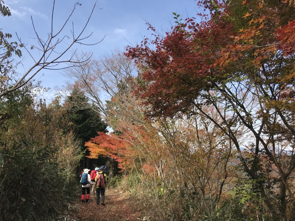 f:id:masahito0989:20171126112905j:plain