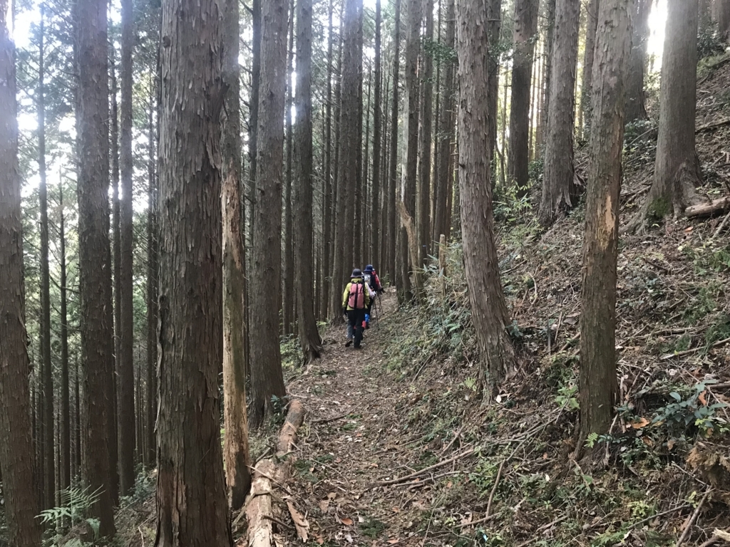 f:id:masahito0989:20171126131518j:plain