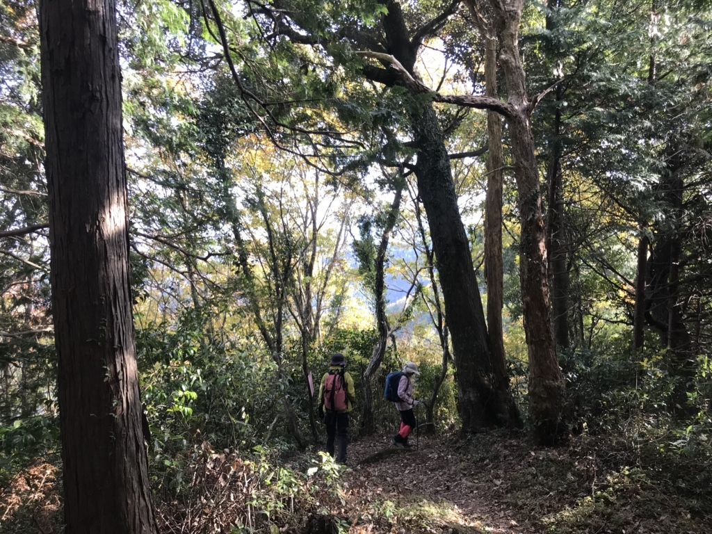 f:id:masahito0989:20171126134450j:plain